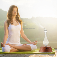 Diffuseur d'arômes en verre naturel de luxe, nouvel appareil électroménager français, vente chaude, humidificateur ultrasonique élégant, huile aromatique en bois