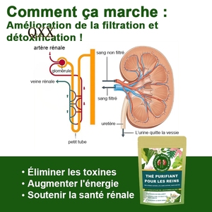 Tè Detox Renale e Tonificante - <span class=keywords><strong>Infuso</strong></span> di <span class=keywords><strong>Erbe</strong></span> e Seta di Mais per la Salute Renale - Product Image 5