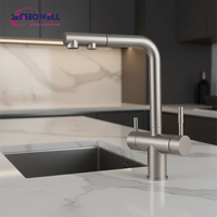 Robinet de cuisine extractible en acier inoxydable 304, finition brossée, avec filtre, mitigeur de cuisine en acier inoxydable