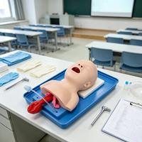 Modèle anatomique du pied humain normal pour l'enseignement en orthopédie des facultés de médecine