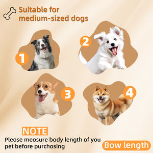 304 Paslanmaz Çelik Büyük Köpek Kafesi Modern ve Sade + Son Derece Nefes Alabilen Dayanıklı ve Bakımı Kolay Büyük Köpekler İçin İyi Haber - Product Image 5