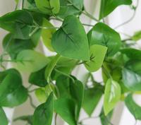 Feuilles de lierre artificielles en latex avec 5 fourchettes, 10 pièces, de haute qualité, pour décoration murale de jardin