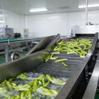 Industriële wasinstallatie voor het reinigen van fruit en groenten met hogedruksproeier/bellencombinatie voor groenteverwerkingsbedrijven