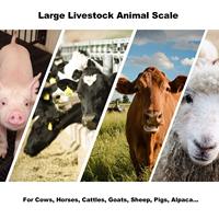 Báscula Digital de Alta Calidad y Gran Capacidad para Animales de Granja, Equipo de Pesaje para Ganado, Caballos, Cerdos, Cabras, Vacas, Alpacas