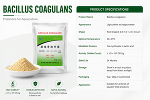Suministro del Fabricante: Esporas de Bacillus Coagulans Termoestables 10B CFU/g, Aditivo Probiótico para Alimentos, Potenciador de Crecimiento Resistente <span class=keywords><strong>a</strong></span> la Peletización - Product Image 3