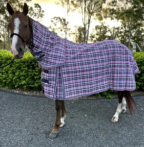 Sábanas de Verano para Caballos, de Polialgodón Ligero y de Lujo, para un Descanso Cómodo, Almohadilla de Silla de Montar, Protección Contra Moscas y Flujo de Aire - Product Image 6