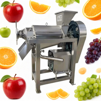Fruit- en groentesapcentrifuge voor restaurantgebruik in fruitverwerkingsbedrijven met krachtige 2200W motor, 220V, inclusief kloppers