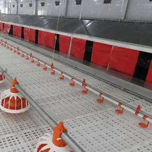 Động vật và gia cầm trang trại thiết bị nhà gà thiết kế Pan hệ thống cho ăn