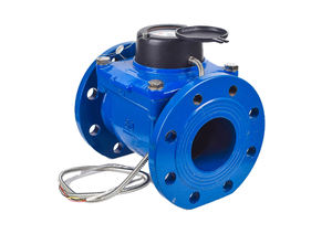 Woltman OEMカスタマイズ可能鋳鉄冷水メータードライ取り外し可能タイプ光電直接読み取りRS485プロトコルフローメーター - Product Image 5