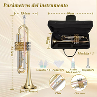 Factory Wholesale Bb Brass Body Gold and Silver Color Matched Phosphor Copper Tone Tube Trumpet With Case Set