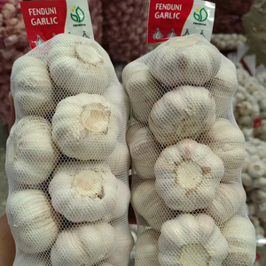 Aglio Rosso Fresco di Tunisi 55mm, Scatola da 10KG (Raccolto 2023) - Fornitore da 20 Anni - Product Image 1