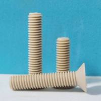 PEEK M3 M4 M5 M6 Countersunk Head Hexagon Socket Screw High Strength Insulation High Temperature Resistant Flat Cup Screw