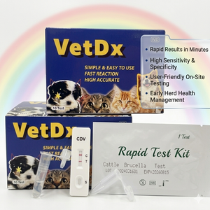 Kit de diagnóstico rápido <span class=keywords><strong>veterinario</strong></span> al por mayor para perros: EHR+ANA+CHW (4 en 1) para la detección de gusanos del corazón en clínicas veterinarias - Product Image 3