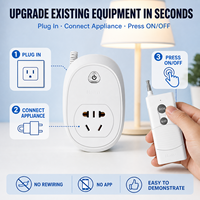 Prise de télécommande RF longue portée pour lumières, ventilateurs et appareils électroménagers, interrupteur marche/arrêt Plug and Play pour les distributeurs