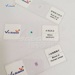 医療用TeachingHistology Hyaline Cartilage Secが準備したスライドはウサギの舌の味の芽を示しています動物の組織学が準備したスライド - Product Image 4