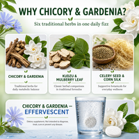 Comprimés Effervescents aux Plantes Chicorée Gardénia Pueraria Feuille de Mûrier Soie de Maïs pour l'Équilibre de l'Acide Urique et le Métabolisme Corporel Adulte 20