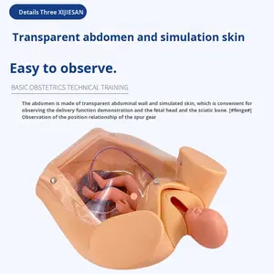 Моделирование комплексных навыков, модель родов для беременных женщин, имитация естественных родов, анатомическая модель из ПВХ - Product Image 4