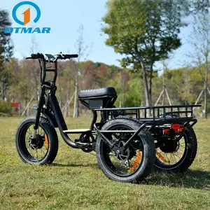 OTM 48v750W 3 Wheel Drive Motor 20" X 4.0 Fat Mountain Tire Big Power Camping Travel 3 Wheel Electric Bike Electric Trike