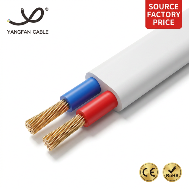 Cu/PVC/PVC Flat Flexible Power Cable 300/500V 2 Core Parallel Copper PVC Insulated Sheathed Electric Wire for Home Appliances