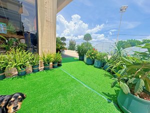 หญ้าเทียมสำหรับกลางแจ้ง พรมหญ้าสังเคราะห์สีเขียว ดูเป็นธรรมชาติ หญ้าเทียมสำหรับใช้งานกลางแจ้ง - Product Image 3
