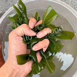 นอตสาหร่ายแห้งอายุการเก็บรักษาที่ยาวนานสะดวกสำหรับการจัดเก็บในห้องครัว - Product Image 4