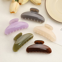 Pinces à cheveux semi-circulaires en PC durable, texture gelée translucide, type requin, pour cheveux fins, coiffure femme, vente en gros