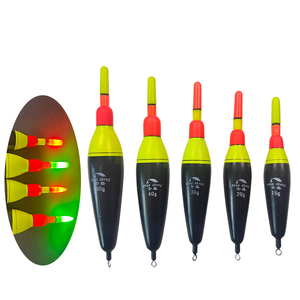 Vente en gros 15g 20g 30g 40g 50g LED Pêche en mer EVA Flotteur électronique Bass Float Night Rock Long flotteur en forme d'olive pour la pêche - Product Image 6