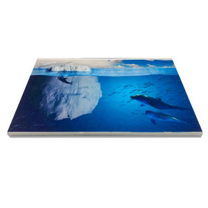 <span class=keywords><strong>Pannelli</strong></span> di parete acustici insonorizzati in materiale fonoassorbente da 9mm 12mm pannello di parete isolante acustico stampato decorativo da 2440*1220mm - Product Image 2