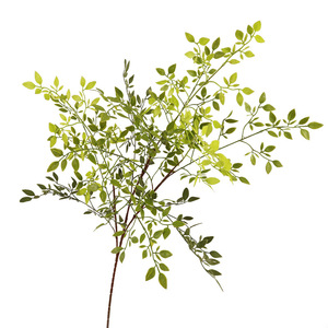 Hojas Artificiales de Nandina Domestica QIHAO, Alta Simulación, Decoraciones Florales para Interiores, Arreglos Florales para Bodas - Product Image 5