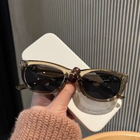 Lunettes de Soleil Femme Ultralégères Tendance Papillon en Plastique de Luxe Qualité Mode Œil de Chat Style Morandi
