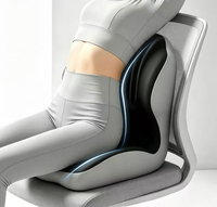 Coussin ergonomique Royal Ingenuity en mousse à mémoire de forme et soie de lait pour chaise de bureau, soutien lombaire, soulagement de la douleur, lavable, antidérapant