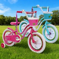 Vélo pour enfants de 12 pouces avec roues d'apprentissage, rose, vente chaude en Chine 2024