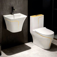 Inodoro Sifónico Integrado de Diseño Platino de Alta Calidad, Moderno y de Lujo, Personalizado para Baño