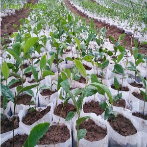 4.7 "x 4.7" Nursery non tessuta porta fiori ortaggi alberelli albero borsa per <span class=keywords><strong>piante</strong></span> semina - Product Image 4