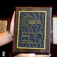 Vente chaude Relief Sculpté En Bois Prix et Trophées Certificat Honor Plaque Plaques En Bois Personnalisées