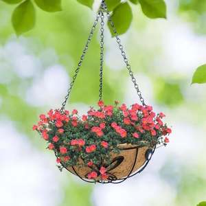Jardinieres En plastique Grandes accessoires สำหรับ Plantes <span class=keywords><strong>Maison</strong></span> jardiniere Bois mexicaine POT <span class=keywords><strong>de</strong></span> Fleurs - Product Image 6