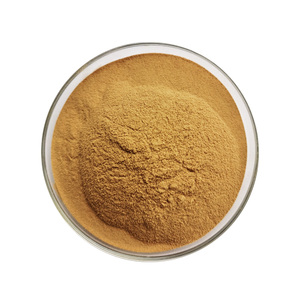 Natrual 24% Flavonoïden <span class=keywords><strong>Ginkgo</strong></span> <span class=keywords><strong>Biloba</strong></span> Leaf Extract Poeder Egb 761