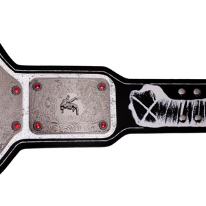 <span class=keywords><strong>Ceinture</strong></span> de champion du monde de la <span class=keywords><strong>WWE</strong></span> en édition limitée CM Punk, série Signature, <span class=keywords><strong>réplique</strong></span> avec couleur et taille personnalisées - Product Image 5