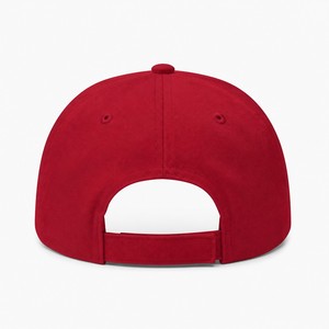 Wholesale T&L Custom Logo <b>Flat</b> Embroidered 6-Panel Adjustable Breathable Cotton Twill Dad <b>Hat</b> for Kids - Product Image 5