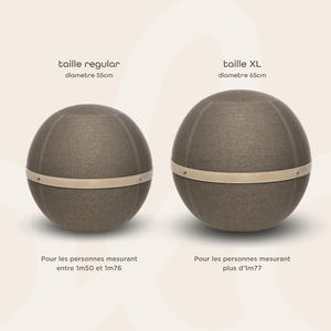 ที่ใส่ลูกบอลโยคะกันลื่น - Product Image 5