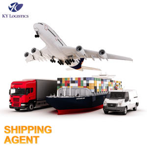 中国发阿塞拜疆 FBA/DHL/UPS/FEDEX 货运代理 DDP DDU 海运服务 货运代理 船运代理 物流服务 - Product Image 1