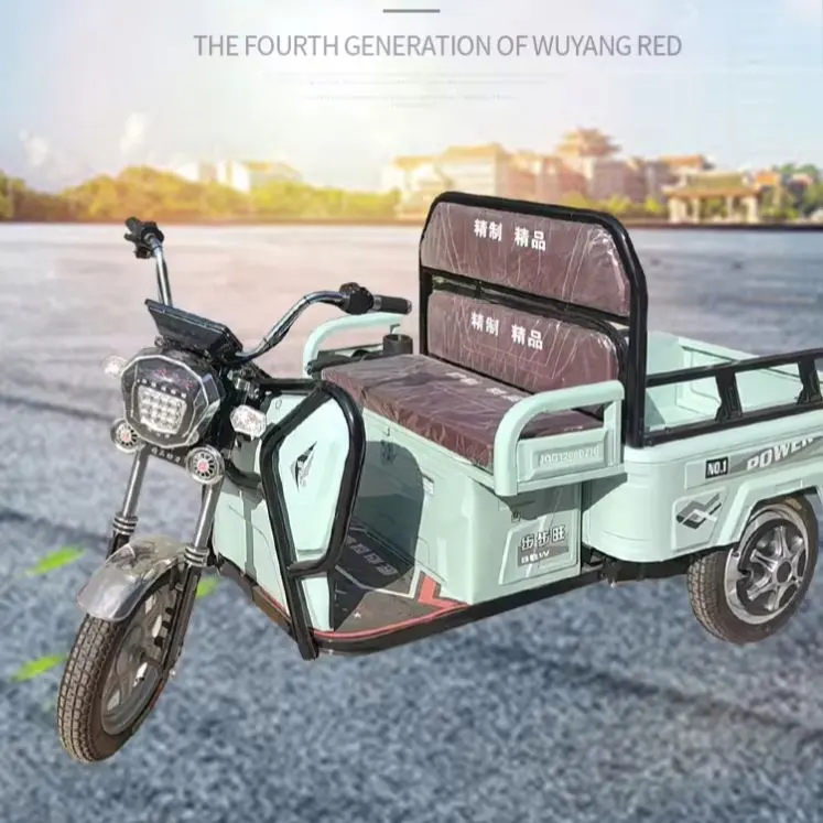 2024 New arrival Cheap Price China Manufacture EEC Certificate Eco-friendly 3 wheel ev electric cargo