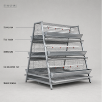 Cage à poulets automatique, cages automatiques pour poules pondeuses, cage à poulets automatique pour ferme avicole, cage à poulets en batterie automatique