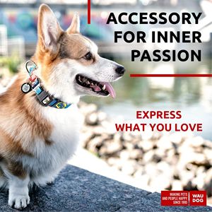 Collier pour chien Waudog en nylon réglable avec motif de dessin animé, boucle de sécurité, pour petits chiens, toutes saisons, style moderne - Product Image 3