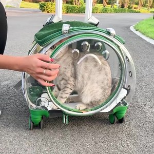 Taşınabilir şeffaf evcil hayvan taşıyıcı sırt çantası lüks zarif fermuar kapatma tam görünüm kedi köpekler için havayolu tekerlekli çanta çanta - Product Image 3
