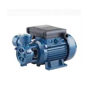 مضخات كهربائية من سلسلة DB125 w لسوق إندونيسيا - Product Image 1