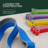 Bandas Elásticas de Resistencia de Doble Color TPE para Ejercicios de Estiramiento, Bandas de Resistencia para Entrenamiento de Fuerza, Juego Portátil