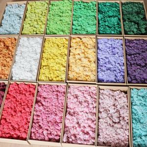 E-M021 Vente en gros de mousse naturelle de qualité supérieure à longue durée de vie 100g 500g, mousse de renne stabilisée pour la décoration murale de Noël, d'hôtels, de cafés et de maisons - Product Image 1