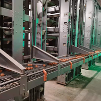 Cage à poulets automatique en acier de type H, nouvelle, galvanisée à chaud, contrôle précis de la température, longue durée de vie, élevage de poulets