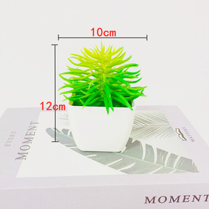 Plante succulente artificielle Qi Xing 12 cm en PVC souple, décoration d'intérieur - Product Image 5